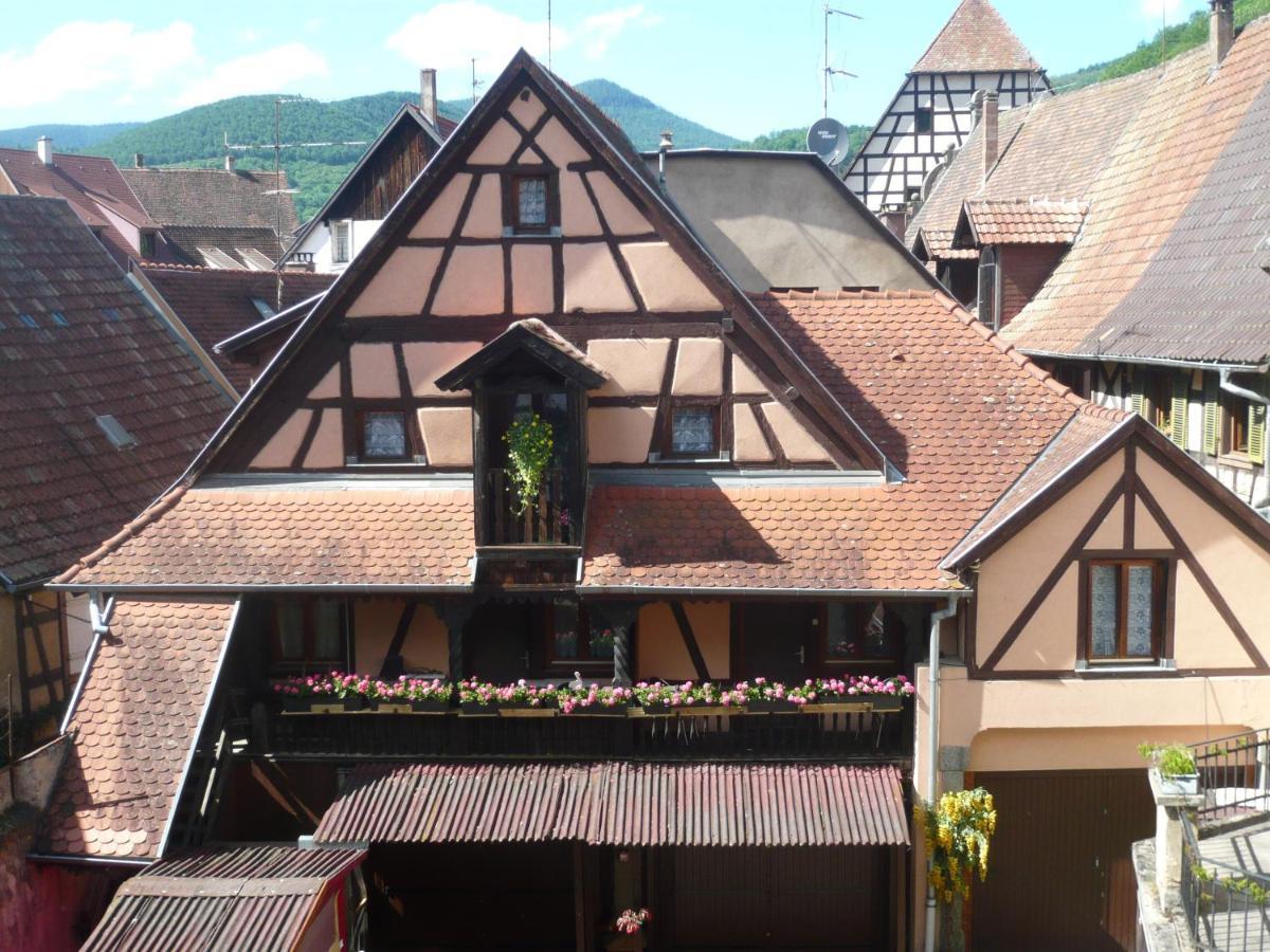 Le Seigle, La Cour Des Meuniers Apartment Kaysersberg-Vignoble Екстериор снимка